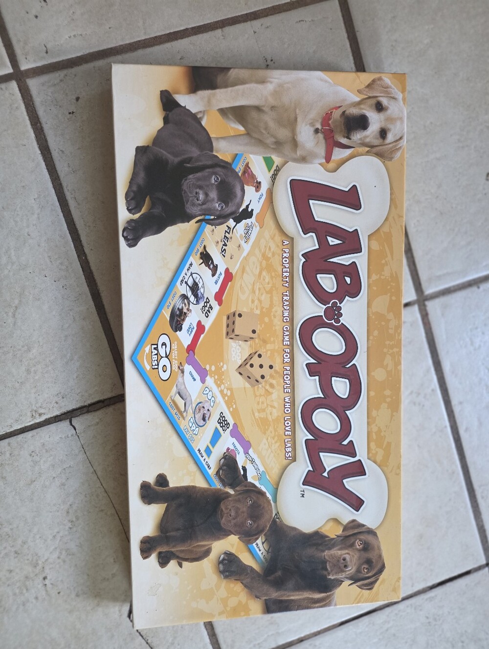 Lab-opoly Board Game - Yellow Edition